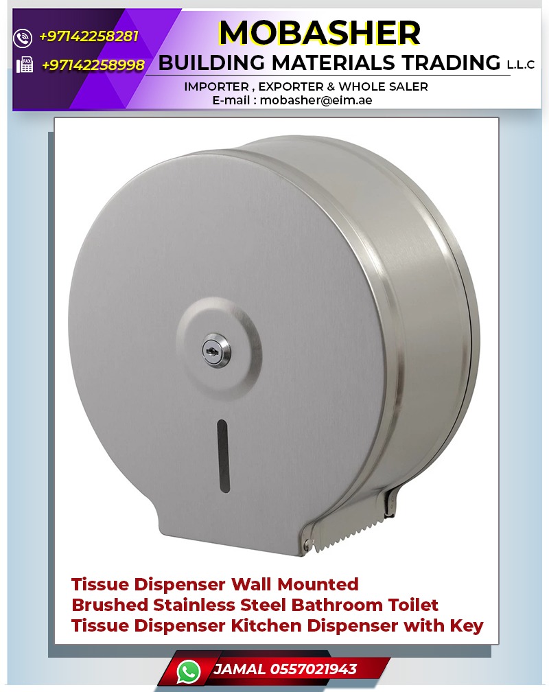 Wall Mounted Stainless Steel Tissue holder